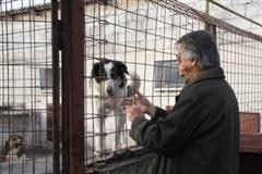 Pierre Brice („Winnetou") engagiert sich für rumänische Straßenhunde