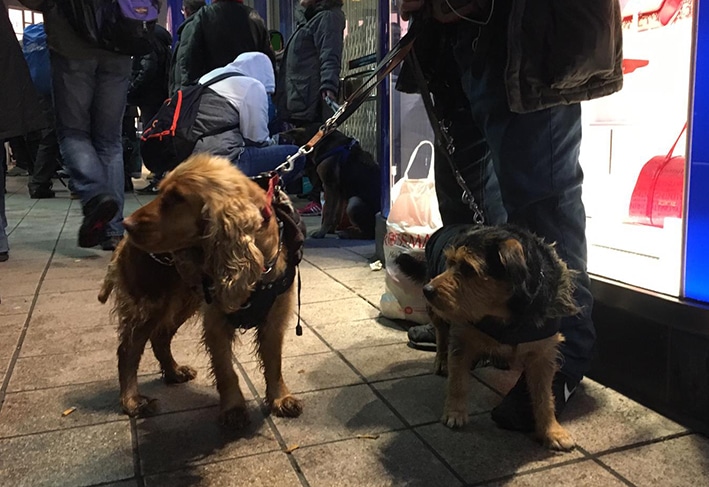 Obdachlose mit Hund am Gerhart-Hauptmann-Platz